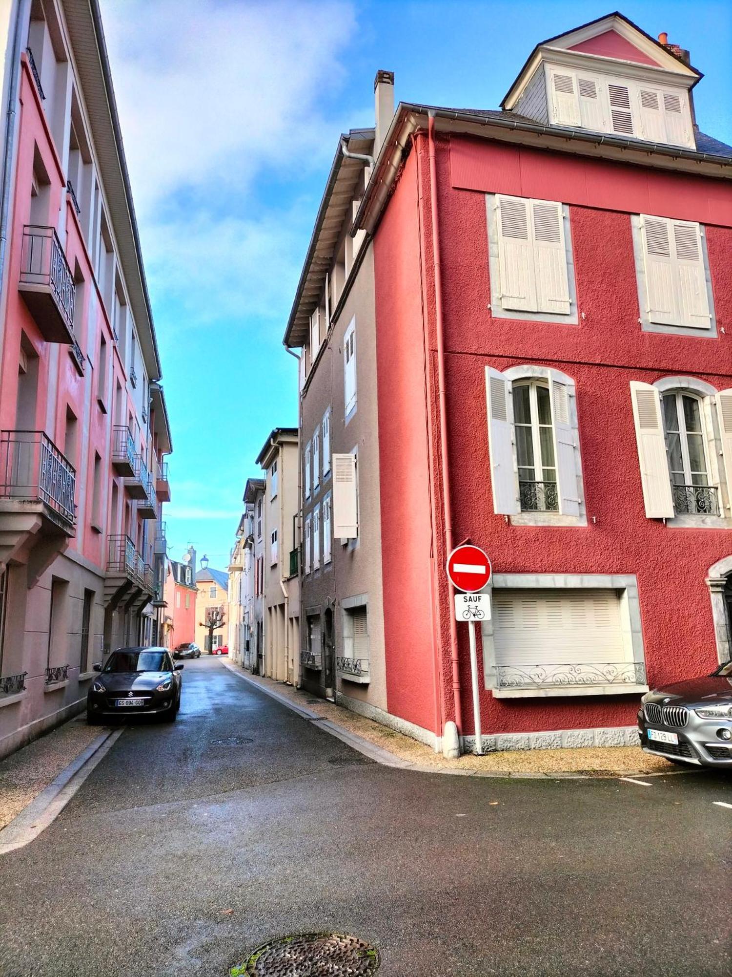 La Roseraie, Loft 3 Etoiles, Calme Et Ensoleille Au Pied Des Pyrenees Bagnères-de-Bigorre Eksteriør bilde